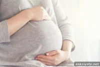 Prenatal Brain Fold Patterns May Predict Dementia Risk