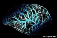 Stressed Cells Reveal How to Clear Toxic Proteins in Dementia
