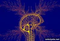 New Therapeutic Target for Parkinson’s Disease Identified