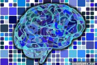 Diabetes and Cardiovascular Disease Raise Dementia Risk