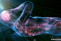 New Brain Maps Reveal Changes After Traumatic Brain Injury