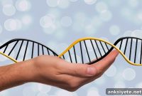 Study Finds Genetic Clues to Parkinson’s Disease Risk