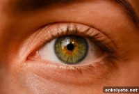 Breakthrough Treatment for Pigmentary Retinopathy