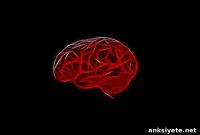 Blood Markers Predict Alzheimer’s 17 Years Before Symptoms