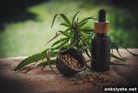 CBD Reduces Treatment Resistant Anxiety in Teens