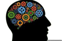 Understanding Brain Function: See the Bigger Picture