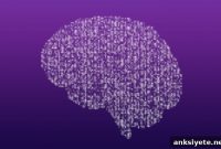 New Computational Models Accurately Simulate Neurons