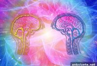 How Brains Synchronize Remotely Without Physical Contact