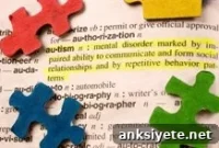 Feeding Problems and Nutritional Risks in Children with Autism