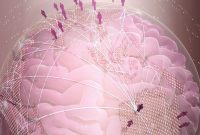 Subtle Brain Structure Changes in Suicidal Adolescents