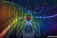 How Your Circadian Clock Aids Brain Recovery After Injury