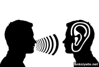 New Study Challenges Long-Held Theories About Hearing