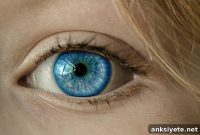 What Pupil Dilation Reveals About Perception