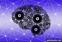 Gut Microbiome Links Lifestyle to Dementia Risk