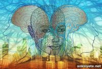 Hidden Wiring Patterns in the Brain Connectome