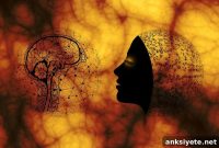PTSD Neurons: How They React to Stress