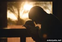 Omega-3 May Improve IQ in Preterm Infants
