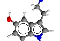 How to Rewire Your Serotonin System for Mood and Anxiety