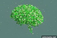 How Negative Experiences Rewire the Brain’s Dopamine System