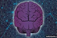 How Breathing Shapes Neural Responses Across the Brain