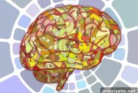How Drinking During Pregnancy Alters Baby’s Brain