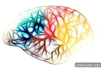Protein Shapes Could Predict Parkinson’s Disease