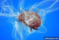 Education, Prior Brain Injury Raise Frontotemporal Dementia Risk