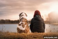 How to Cope with Pet Loss: A New Perspective