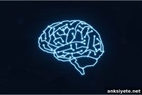 Key Factors Driving Brain Tissue Regeneration