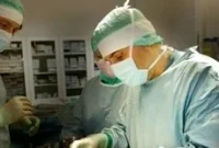 Bioartificial Tissues and Organs from Stem Cells