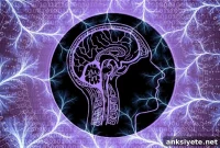 Axon Swelling May Drive Alzheimer’s Disease