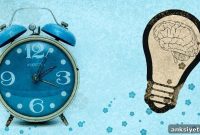 How Calorie Timing Aligns Circadian Rhythms Across Body Systems