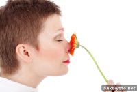 Scientists Uncover New Layer in Human Sense of Smell