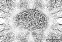 Inflammation Trigger: New Link Between Alzheimer’s and PSP