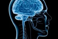How Human Speech Works: The Science of Speaking