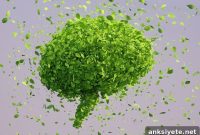 Decision-Making, Implicit Confidence and Mood in Adults