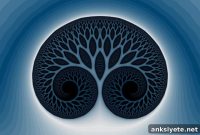 The Return of Psychedelic Medicine: Breakthroughs & Research