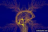 Repurposed Cough Medicine May Treat Parkinson’s Disease