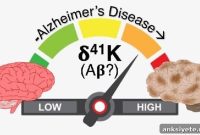 Amyloid Beta Accumulates in Brain Regions with Low Potassium