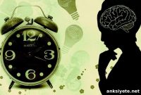 New Research on Neuroinflammation and Brain Aging