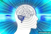 Brain Waves in the Motor Cortex Predict Upcoming Movements