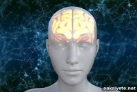 Why Congenitally Blind People Activate the Visual Cortex