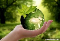 Study Finds Childhood Trauma Influences Environmental Engagement
