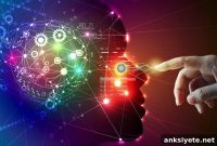 Software Adds Dendritic Dynamics to Neural Network Models