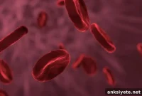 Blood Biomarkers Linked to Brain Disorders