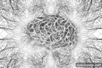 How Changes in Brain Function Drive Obesity