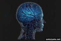 Childhood Maltreatment and Brain Structure in Conduct Disorder