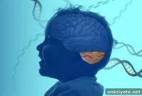 Rare Neurological Disorder Linked to Autophagy Defect