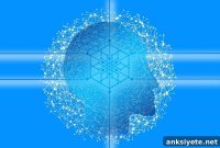 Study Identifies Brain Circuit Driving Fentanyl Relapse