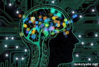 How GPT-3 Performs on Cognitive Tests